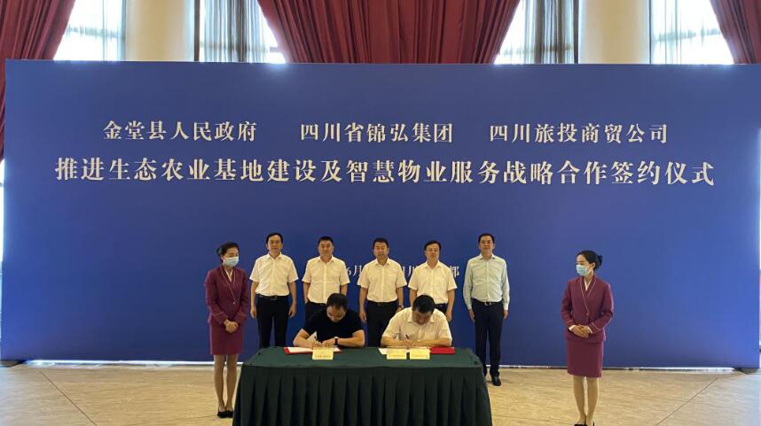 w66�����򵼳�ϯw66���롢��w66��ó���������������ǩԼ��ʽ