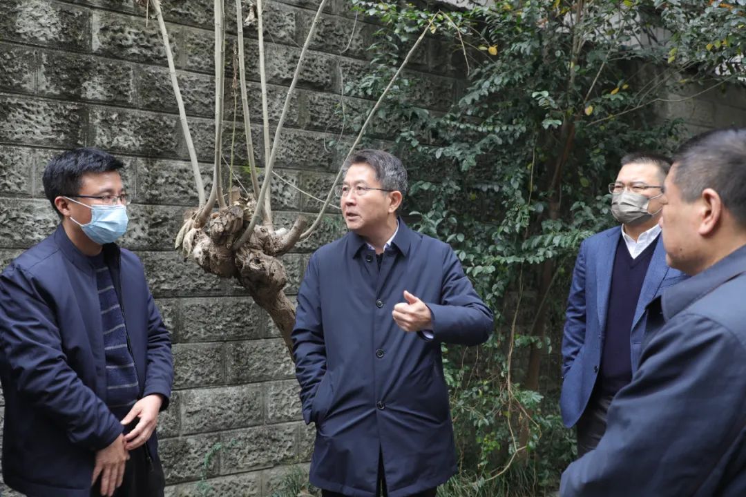 ������ʿ�������ϲ�����  �����뼯�ŵ���