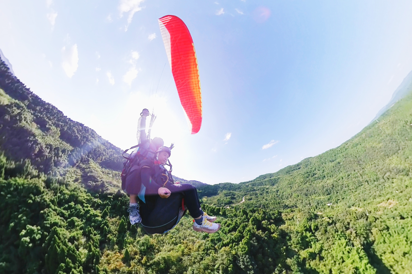 969e0d8c-f9d5-4a4d-b15a-dc5eea72628b