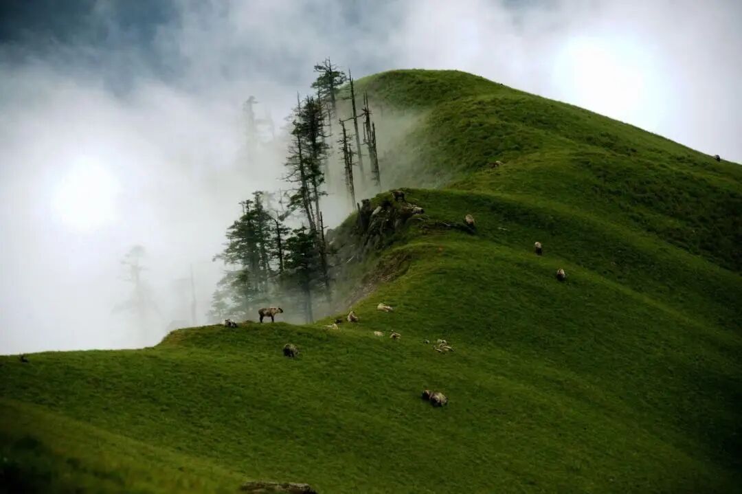 ae302ab1-5f27-4e36-a081-a4c4dde9335a